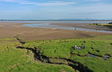 Gathering on the saltmarsh